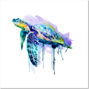 Watercolor Sea Turtle Posters and Art